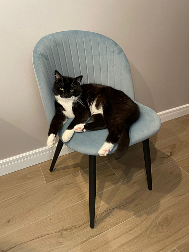 Стул на металлокаркасе Gabi gray / black фото покупателя 325