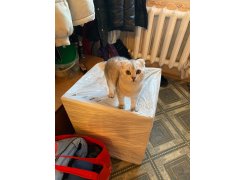 Стул на металлокаркасе Gabi 1 бежевый / черный с серебряными наконечниками фото покупателя 757