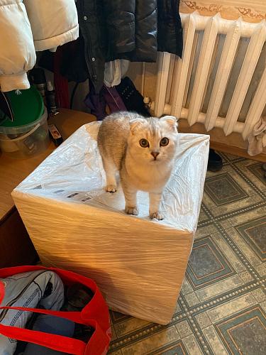 Стул на металлокаркасе Gabi gray / black фото покупателя 757