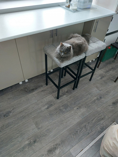 Барный стул Лофт линкольн белый / белый матовый фото покупателя 27