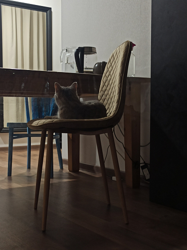 Стул на металлокаркасе Capri blue / white фото покупателя 24