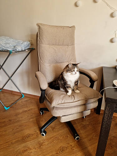 Компьютерное кресло Rapid бежевое фото покупателя 35