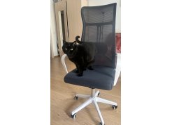 Компьютерное кресло Tilda dark gray / white фото покупателя 8