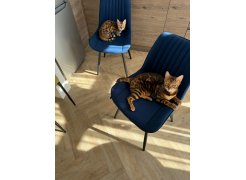 Стул на металлокаркасе Вейв П темно-серый / черный фото покупателя 55