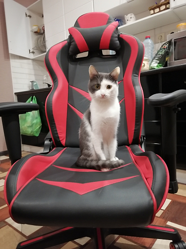 Компьютерное кресло Racer черный / красный / бежевый фото покупателя 44