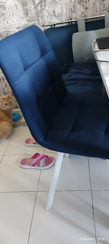 Стул на металлокаркасе Чилли зеленый / белый каркас фото покупателя 101