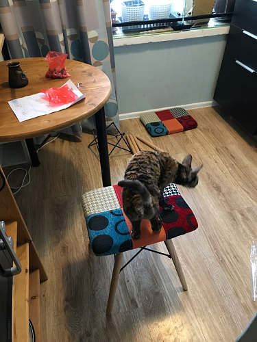 Табурет Ben Multicolor фото покупателя 23