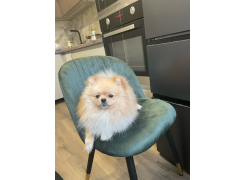 Стул Gabi 1 бежевый фото покупателя 3