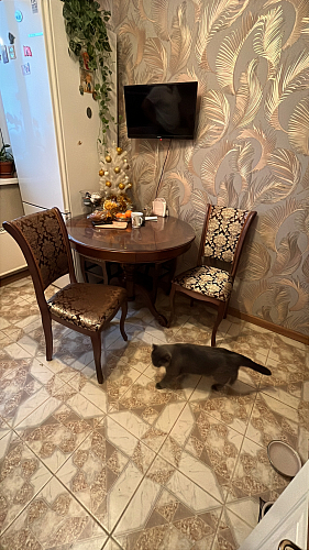 Деревянный стул Фабиано 308 камелия / ромб фото покупателя 1