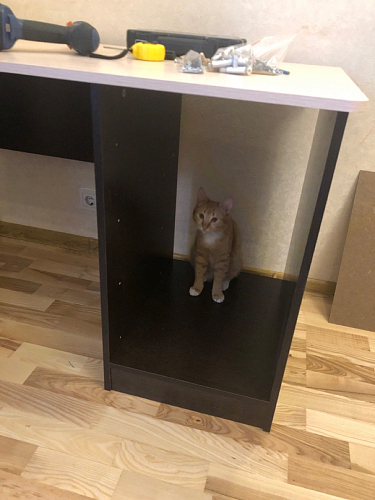 Стол письменный СП4 венге / дуб молочный фото покупателя 11