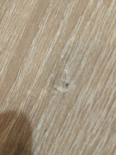 Стол письменный Kiwi белый - Уцененный экземпляр фото покупателя 100