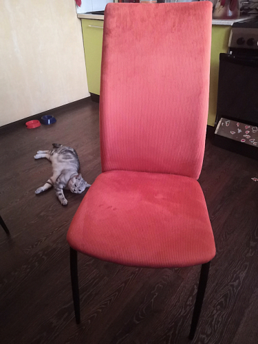 Стул Tod yellow / black фото покупателя 69