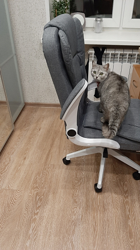 Компьютерное кресло Mitis gray / white фото покупателя 1