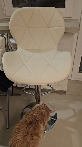 Барный стул Trio beige / chrome фото покупателя 7