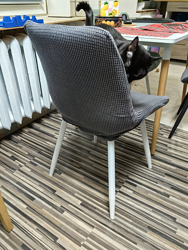 Комплект стульев Вейв 4 шт светло-серый / черный фото покупателя 288