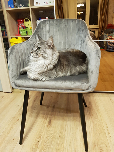 Стул на металлокаркасе Slam dark beige фото покупателя 51