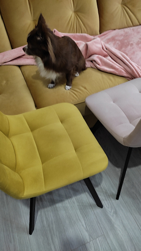 Стул на металлокаркасе Чилли зеленый / черный фото покупателя 883