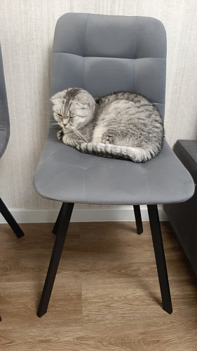 Стул на металлокаркасе Чилли синяя ткань / белый фото покупателя 1454