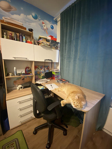 Компьютерный стол КСТ-14.1Л левый дуб сонома / белый фото покупателя 4