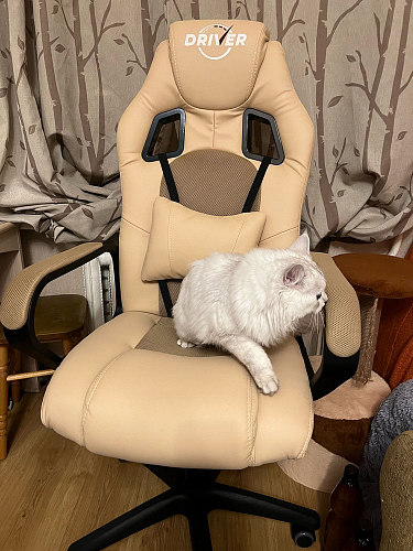 Компьютерное кресло Driver/Драйвер кожзам черный / серый фото покупателя 51