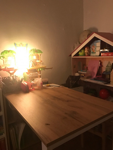 Письменный стол Битти Лофт 116х60х75 дуб вотан / черный матовый фото покупателя 71