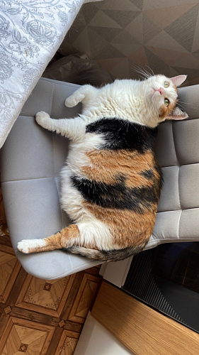 Стул на металлокаркасе Челси бирюзовый / черный фото покупателя 89