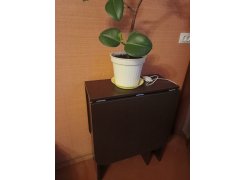 Стол-книжка Мечта венге фото покупателя 217