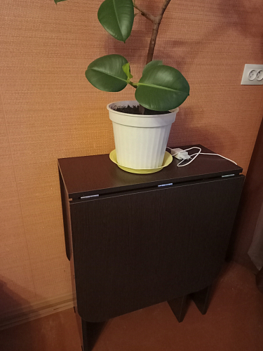 Стол-книжка Мечта венге  - Уцененный экземпляр фото покупателя 217