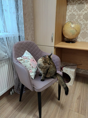 Стул на металлокаркасе Vener green фото покупателя 6