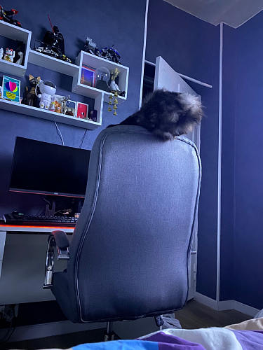 Компьютерное кресло Tron black фото покупателя 63