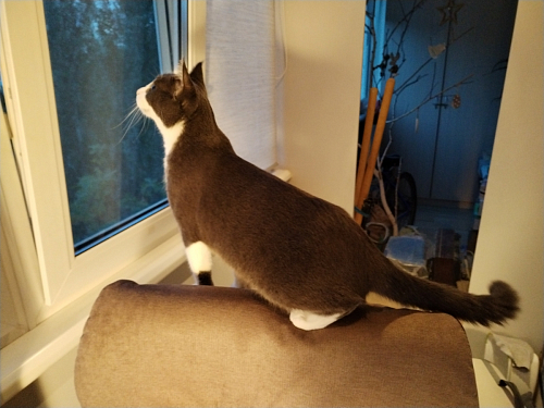 Компьютерное кресло Duke metal BL/Дюк МеталБл серый фото покупателя 7