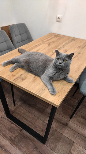 Деревянный стол Лота Лофт 120x75 дуб крафт табачный / черный матовый фото покупателя 1024