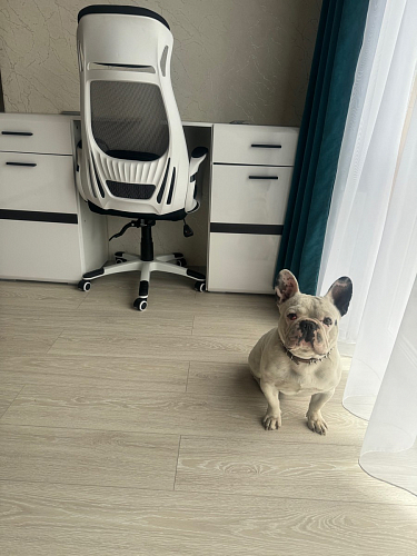 Компьютерное кресло Burgos белое фото покупателя 8