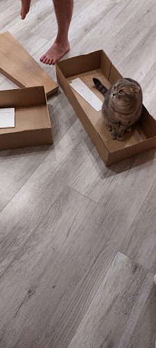 Стол на тумбе Петир 120(160)х80х75 белая шагрень / дуб с пилением фото покупателя 4