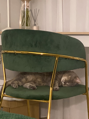 Стул на металлокаркасе Kamelia gold / gray фото покупателя 72