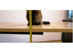 Стол Лота Лофт 120 25 мм сабия / черный матовый фото покупателя 323