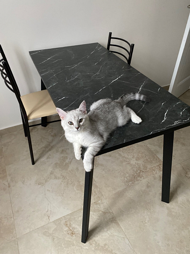 Стол Тринити Лофт 120 32 мм дуб галифакс табако / черный матовый фото покупателя 550