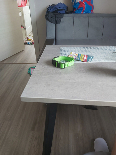 Стол Тринити Лофт 120 32 мм дуб галифакс табако / черный матовый фото покупателя 892