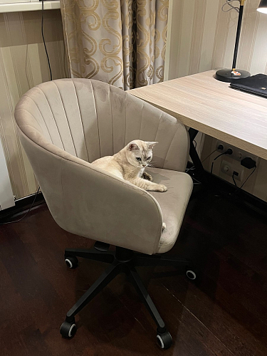 Компьютерное кресло Тибо 01 светло-коричневый / черный фото покупателя 149