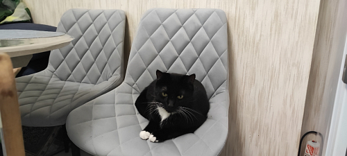 Стул на металлокаркасе Баодин К крутящийся фиолетовый teddy 944 / черный фото покупателя 26