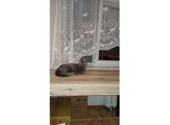 Стол Оригон сонома / черный матовый фото покупателя 36