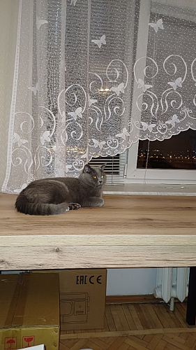 Стол Оригон навара / черный матовый фото покупателя 36