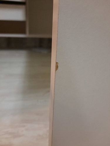 Письменный стол СПм-25 левый белый  - Уцененный экземпляр фото покупателя 13