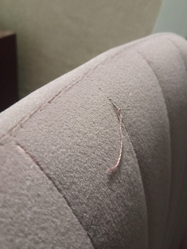 Стул Kora light purple фото покупателя 72