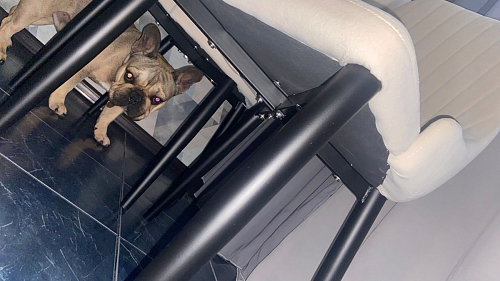 Стул на металлокаркасе Kora dark gray / black фото покупателя 115