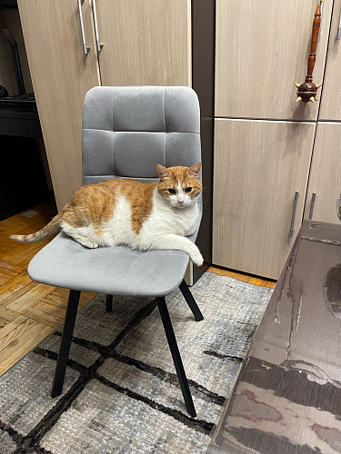 Стул на металлокаркасе Чилли черный / зеленый фото покупателя 709