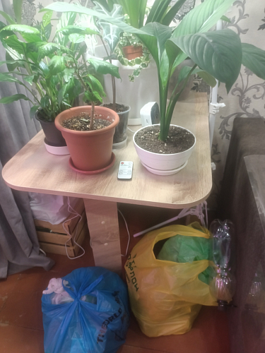 Стол-книжка Мечта дуб сонома  - Уцененный экземпляр фото покупателя 103