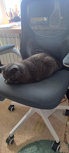 Компьютерное кресло Konfi light gray / blue / white фото покупателя 170