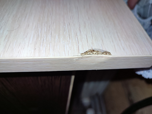 Стол письменный СП4 венге / дуб молочный фото покупателя 23