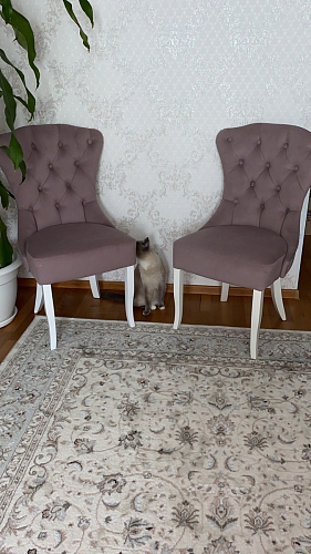 Деревянный стул Милано 1 бежевый / белый фото покупателя 48